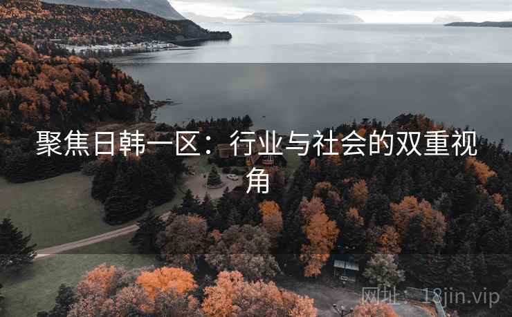 聚焦日韩一区：行业与社会的双重视角