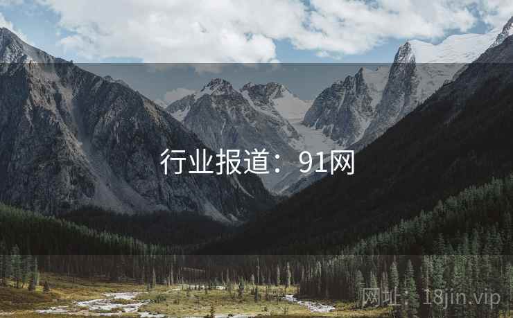 行业报道：91网