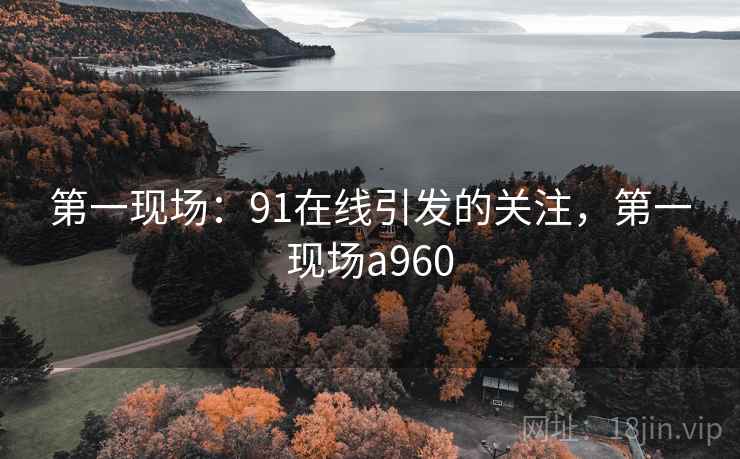 第一现场:91在线引发的关注,第一现场a960 第一现场:91在线引发的关注,第一现场a960