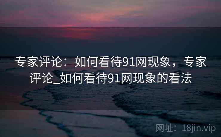 专家评论：如何看待91网现象，专家评论_如何看待91网现象的看法