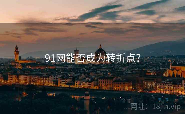 91网能否成为转折点?