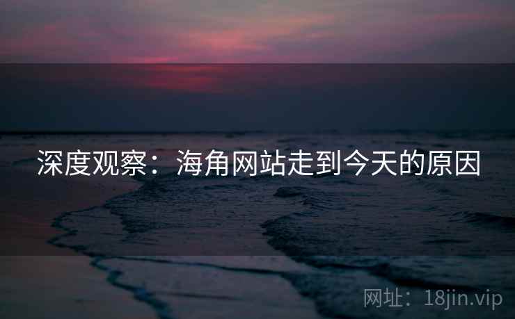 深度观察:海角网站走到今天的原因